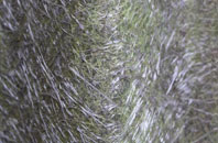 Holmfield fibreglass roof work